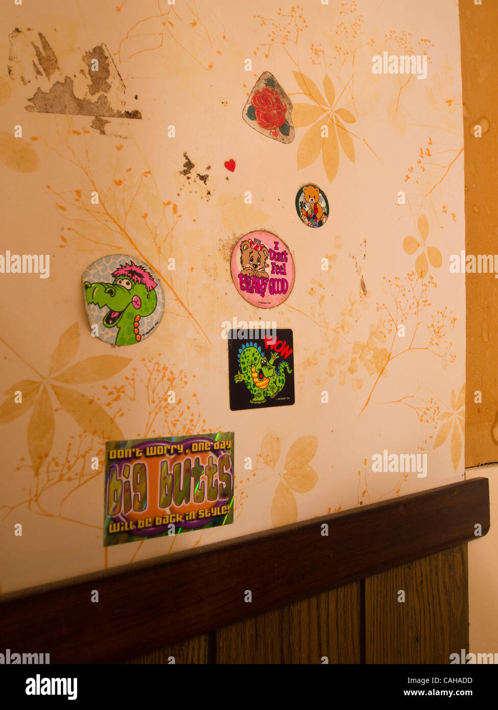 Stickers on a bathroom wall inside a foreclosed home in Beulah ...