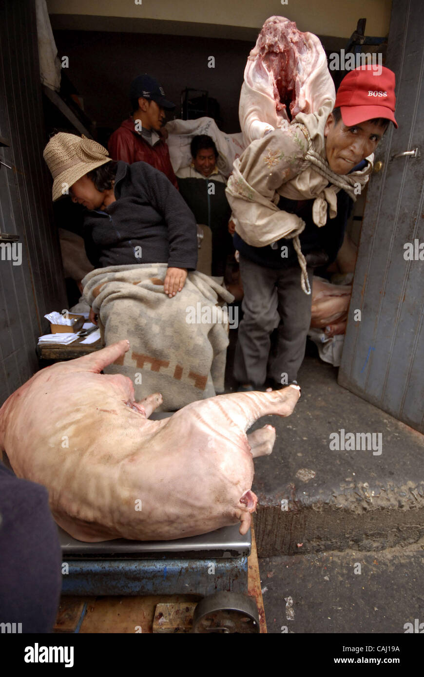 Dec 31, 2007 - La Paz, Bolivia - A delivery man in La Paz Garita de Lima's pork meat market. Every 31st December in La Paz, thousands of dead pigs are brought to the city to be sold, coming from Cochabamba, Santa Cruz and all La Paz areas. The bolivian tradition to eat pork to celebrate the new year Stock Photo