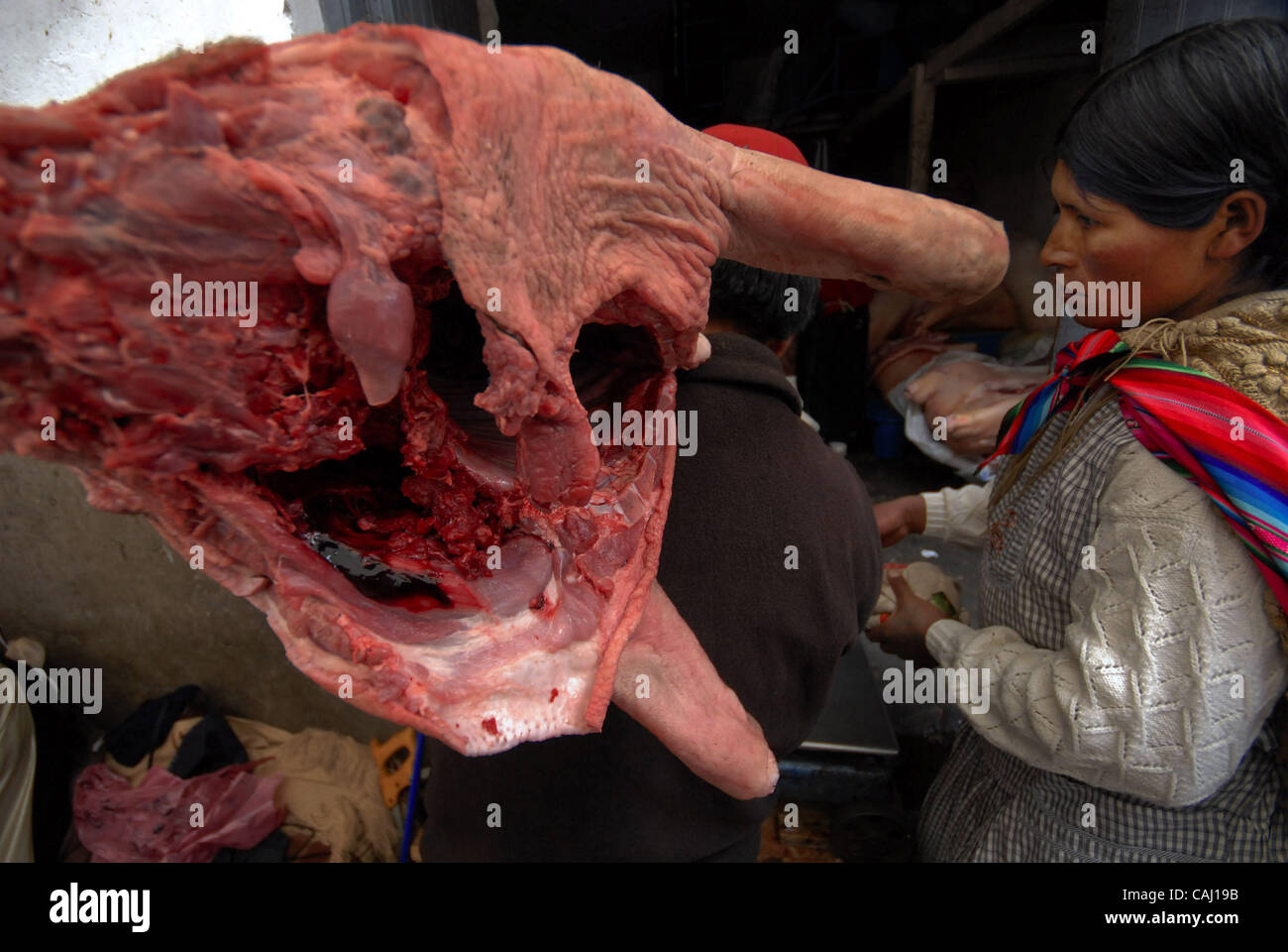 Dec 31, 2007 - La Paz, Bolivia - An inidgenous women looks at the pork meat she bought in La Paz Garita de Lima's street market. Every 31st December in La Paz, thousands of dead pigs are brought to the city to be sold, coming from Cochabamba, Santa Cruz and all La Paz areas. The bolivian tradition t Stock Photo