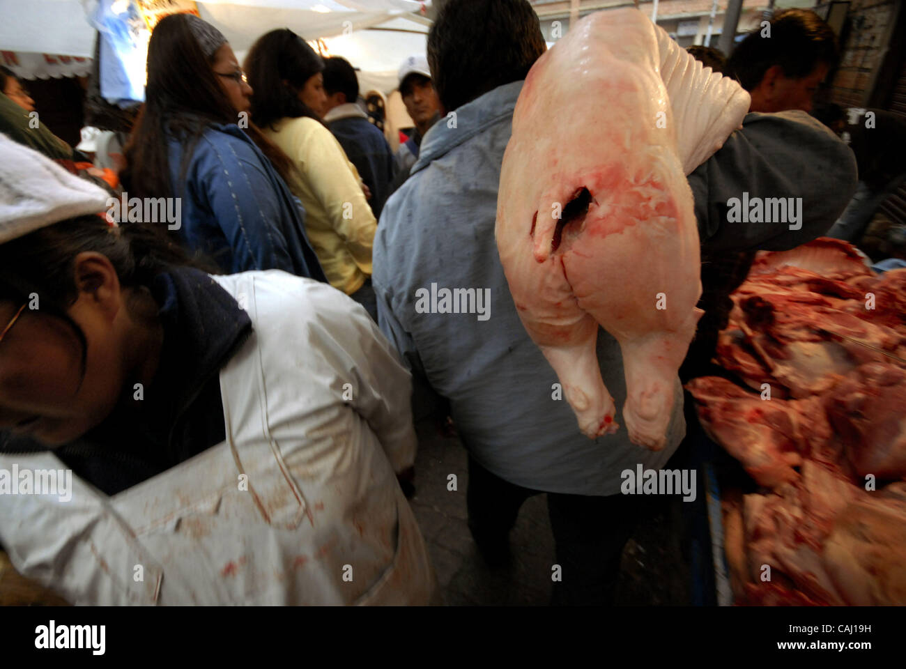 Dec 31, 2007 - La Paz, Bolivia - A man gets his pork meat at home in La Paz Garita de Lima's pork market. Every 31st December in La Paz, thousands of dead pigs are brought to the city to be sold, coming from Cochabamba, Santa Cruz and all La Paz areas. The bolivian tradition to eat pork to celebrate Stock Photo