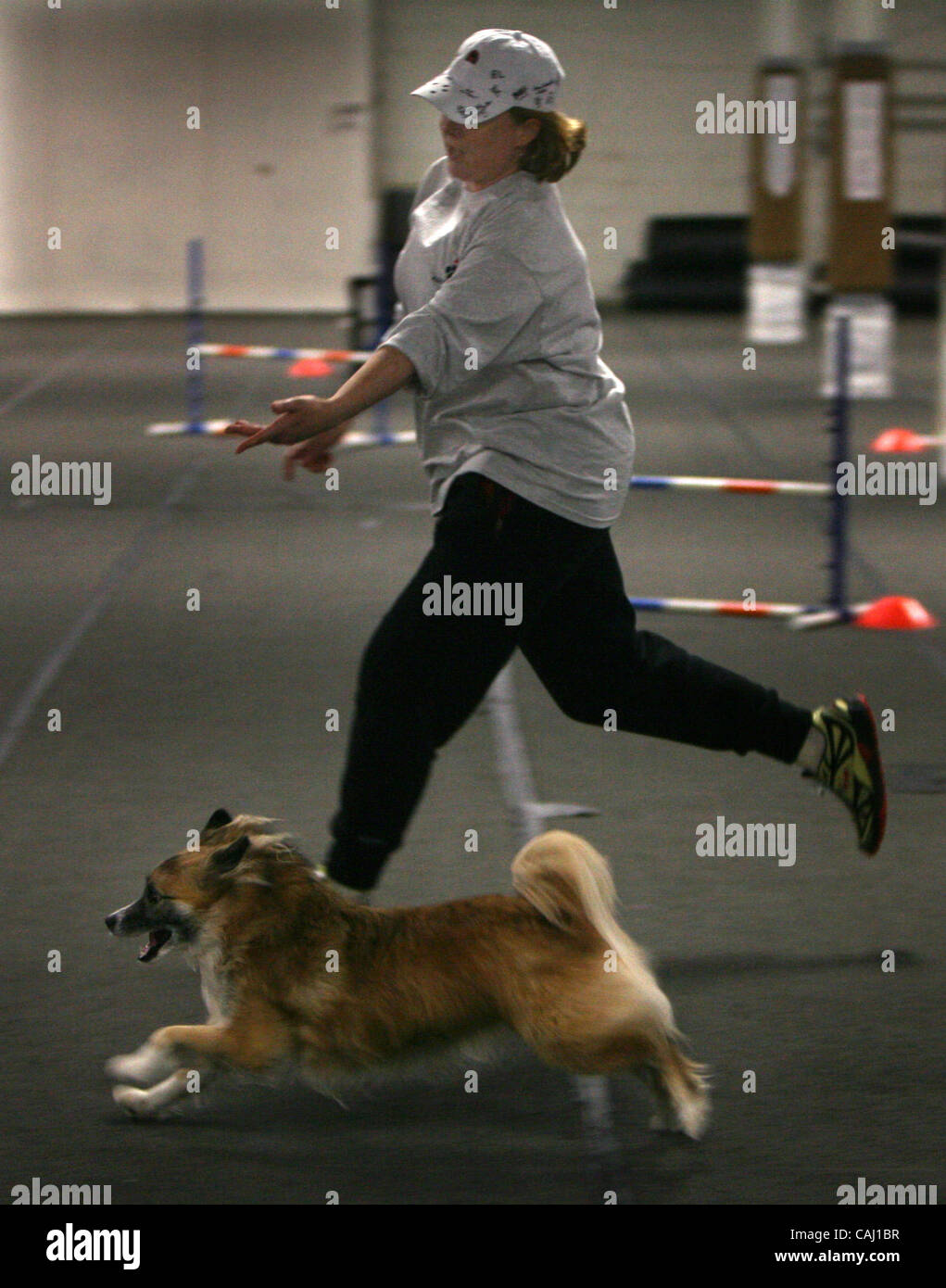 american-kennel-club-training-hi-res-stock-photography-and-images-alamy