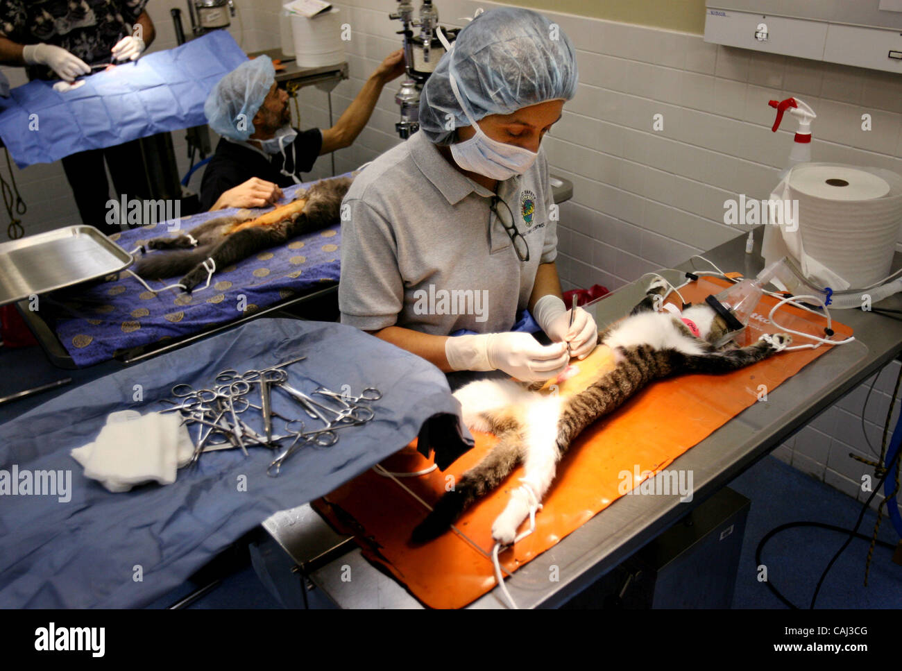 010508 met spay 1 Staff Photo by Gary Coronado/The Palm Beach Post