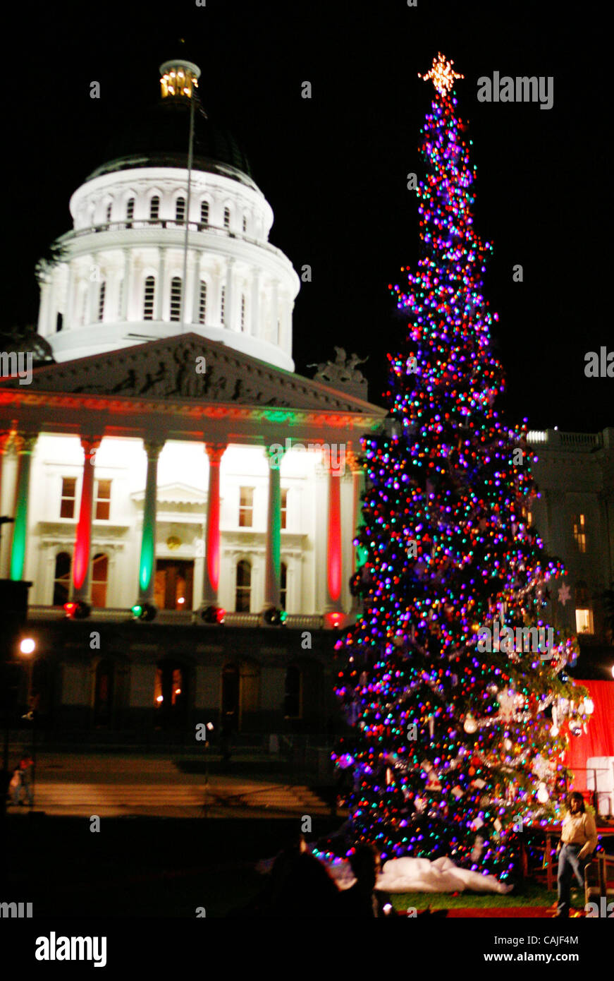 The Christmas tree after the Governor lit it during the 76th Annual