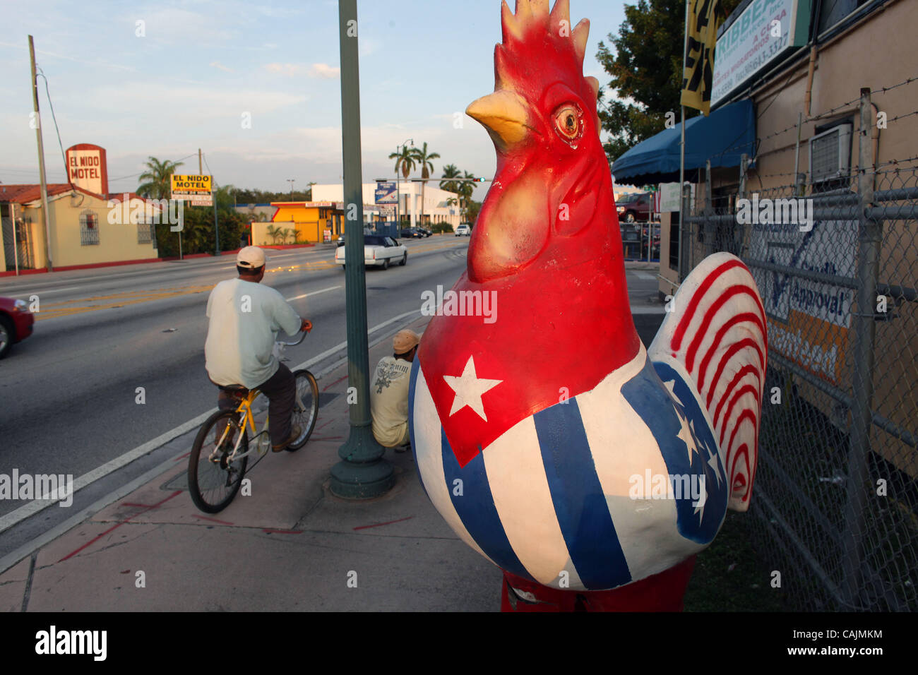 Jan 11, 2011 Miami, Florida, U.S. The eight Little Havana Roosters