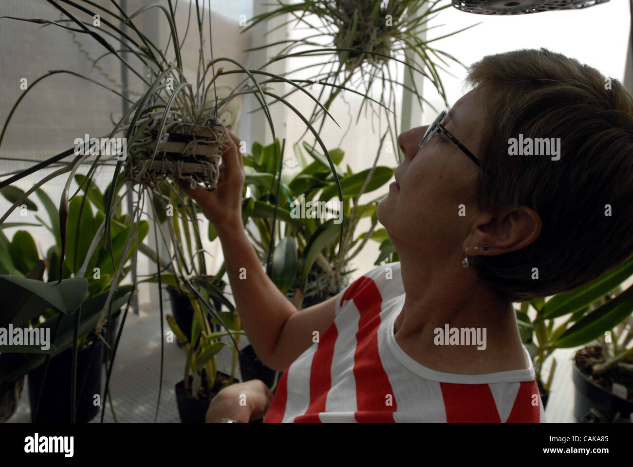 Kathy Barrett shows off some of her orchids in her backyard greenhouse