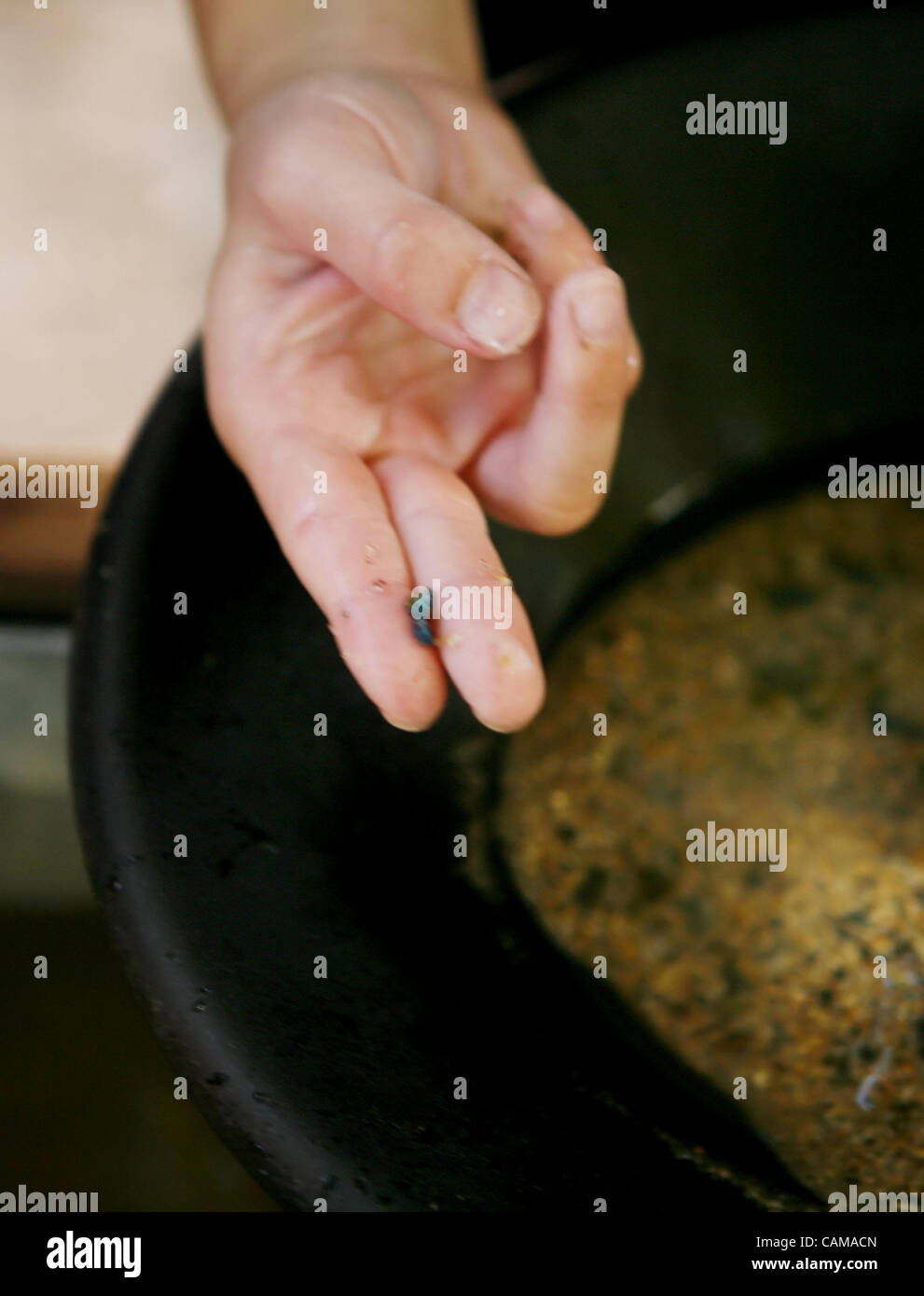 Nine year old Luke Harris, collects silver as he pans for gold during