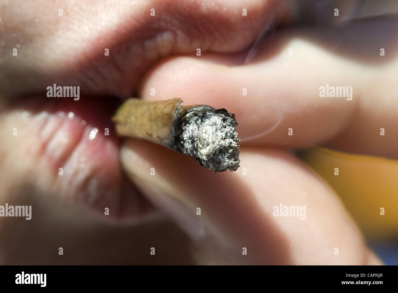 005 Hi Res Stock Photography And Images Page 452 Alamy