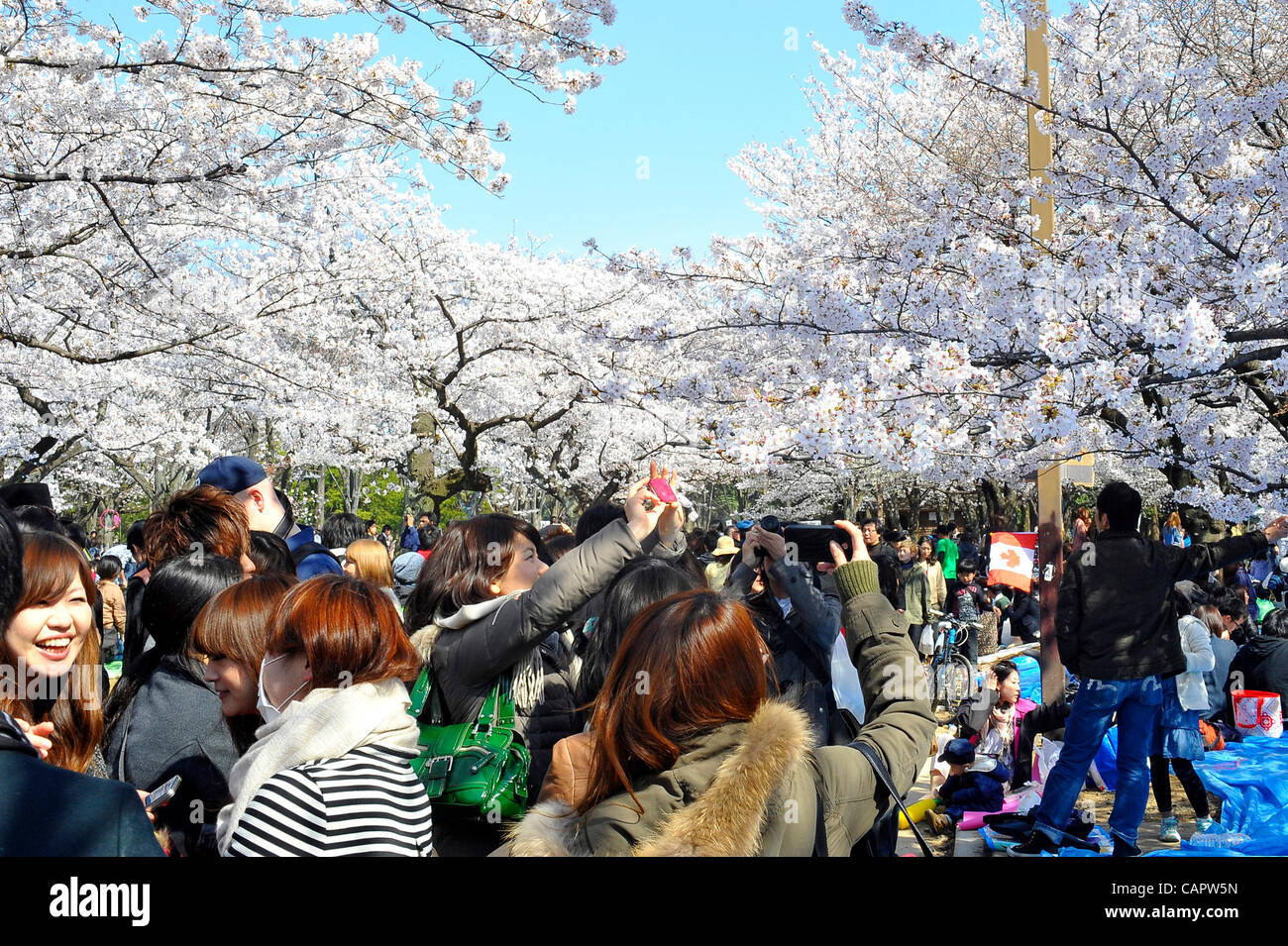 Tokyo, Japan April 8 People took pictures of cherry blossoms as they