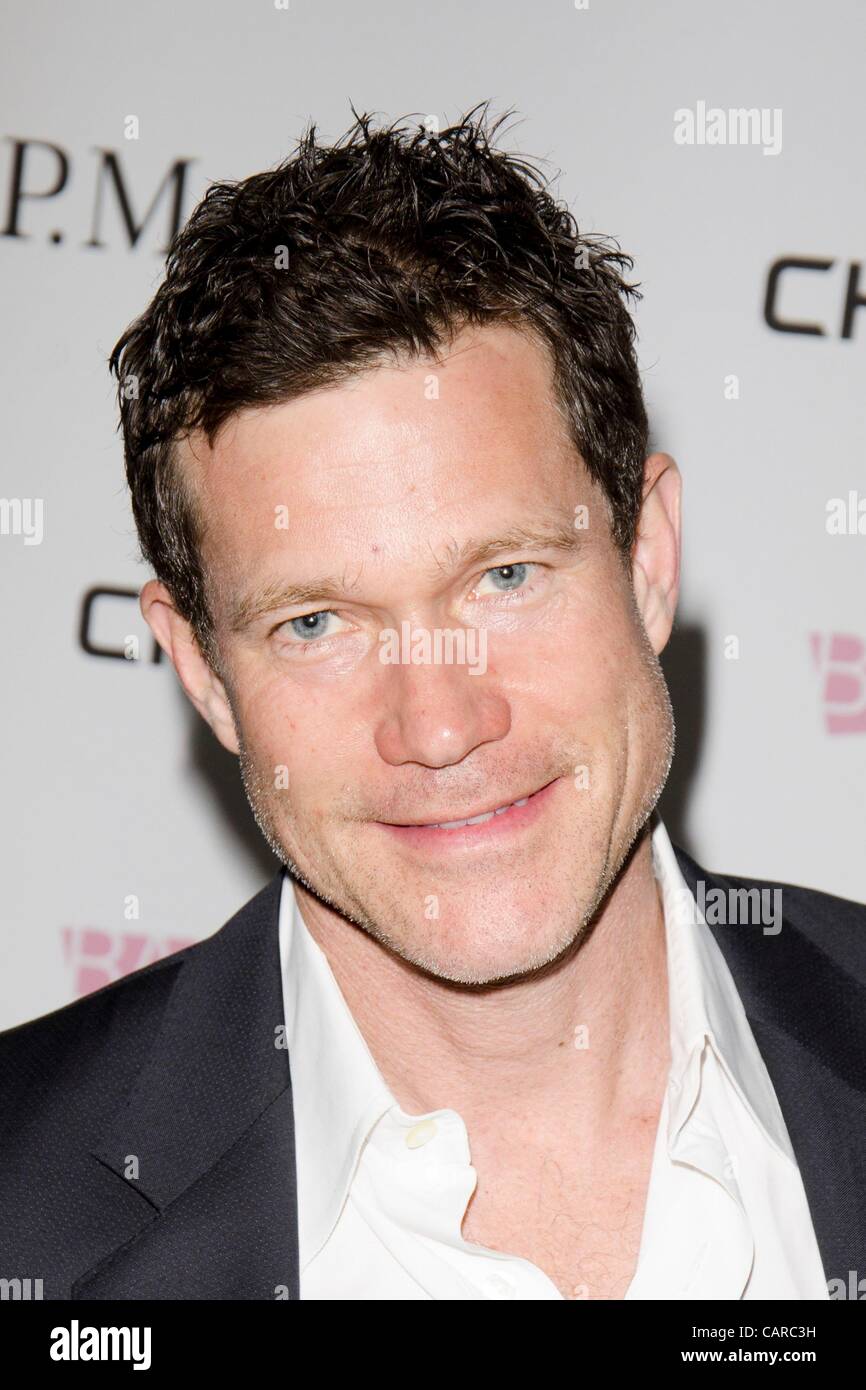 Dylan Walsh in attendance for BAM 150th Anniversary Gala, BAM Howard
