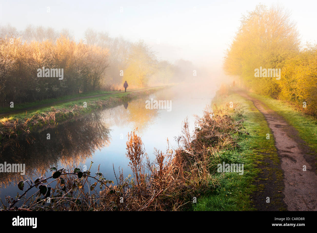Solitary walkers along the old canal in the early morning Spring mist, Newport, Shropshire, UK Stock Photo