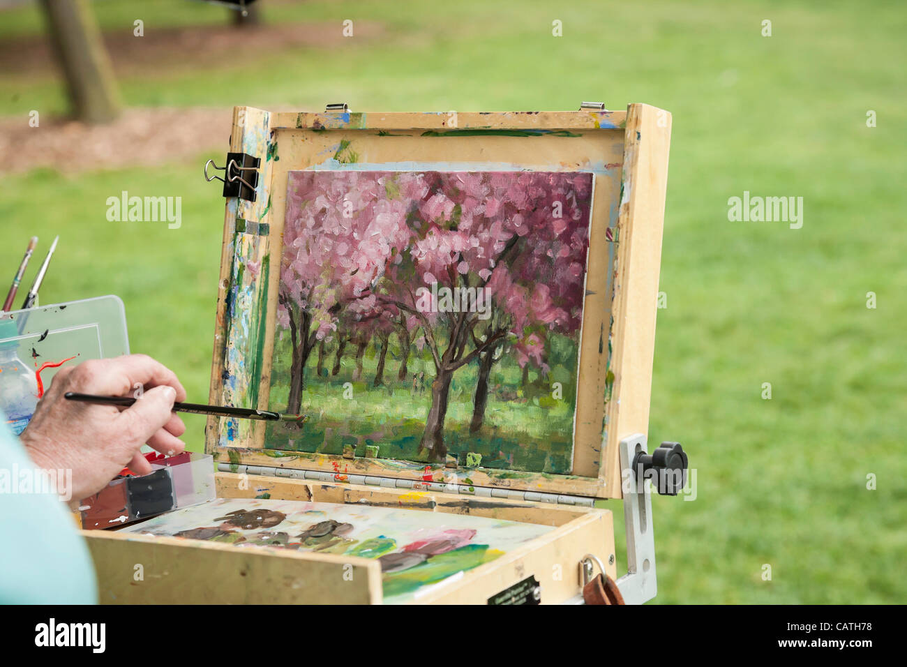 New York City, USA. 20 Apr 2012.  Woman paints a picture of the blossoming Oriental Cherry Trees in The Brooklyn Botanic Garden. Stock Photo