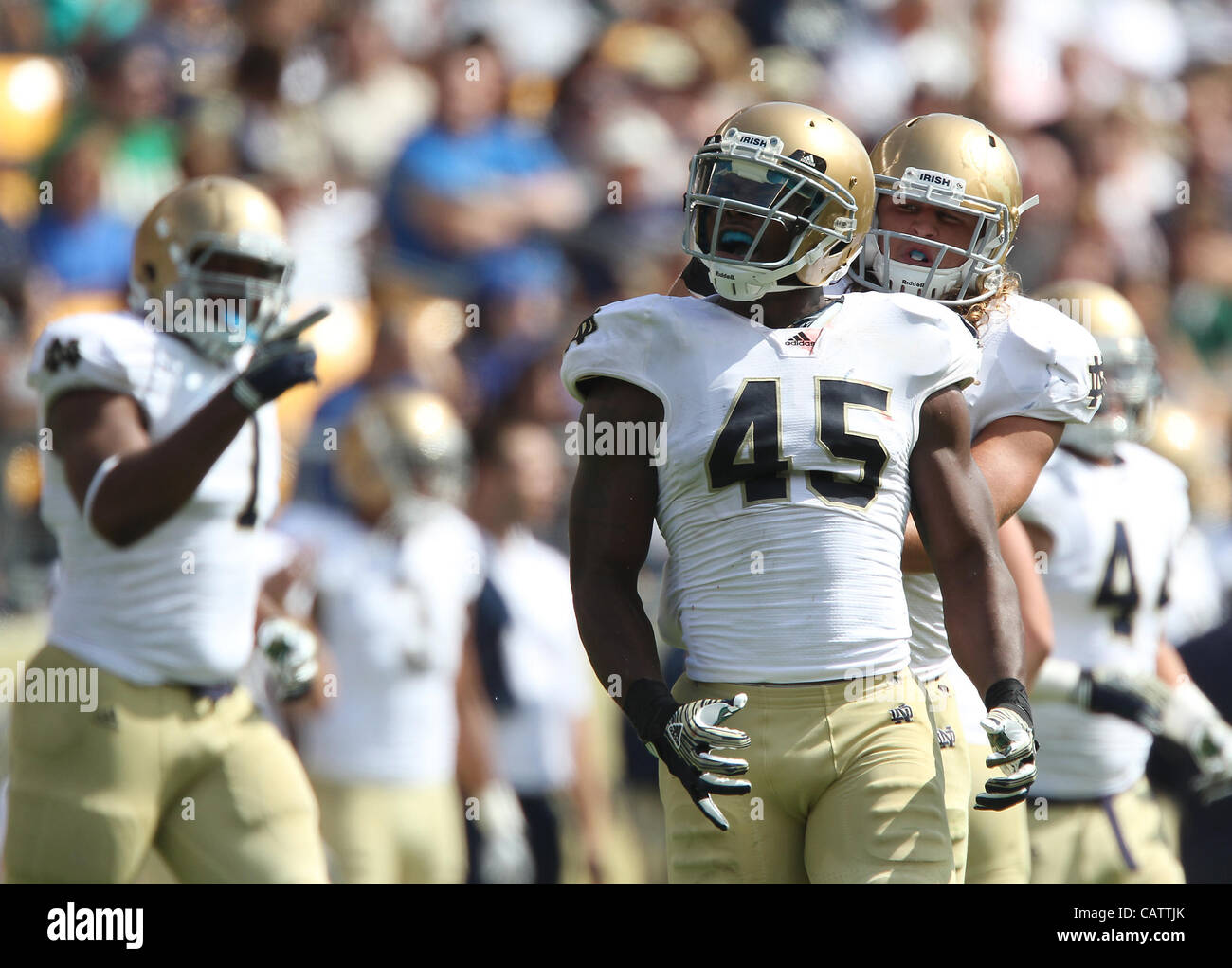 Sept. 24, 2011 - Pittsburgh, Pennsylvania, USA - Notre Dame Fighting Irish linebacker Darius Fleming (45). The Notre Dame Fighting Irish were able to hold onto a slight lead to beat the University of Pittsburgh Panthers in Hienz Field.  Photo By Aaron Suozzi (Credit Image: © Aaron Souzzi/ZUMAPRESS.c Stock Photo