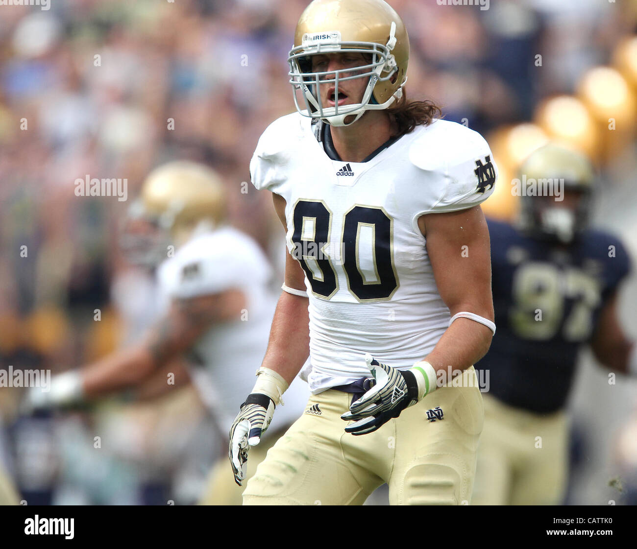 Sept. 24, 2011 - Pittsburgh, Pennsylvania, USA - Notre Dame Fighting Irish tight end Tyler Eifert (80). The Notre Dame Fighting Irish were able to hold onto a slight lead to beat the University of Pittsburgh Panthers in Hienz Field.  Photo By Aaron Suozzi (Credit Image: © Aaron Souzzi/ZUMAPRESS.com) Stock Photo