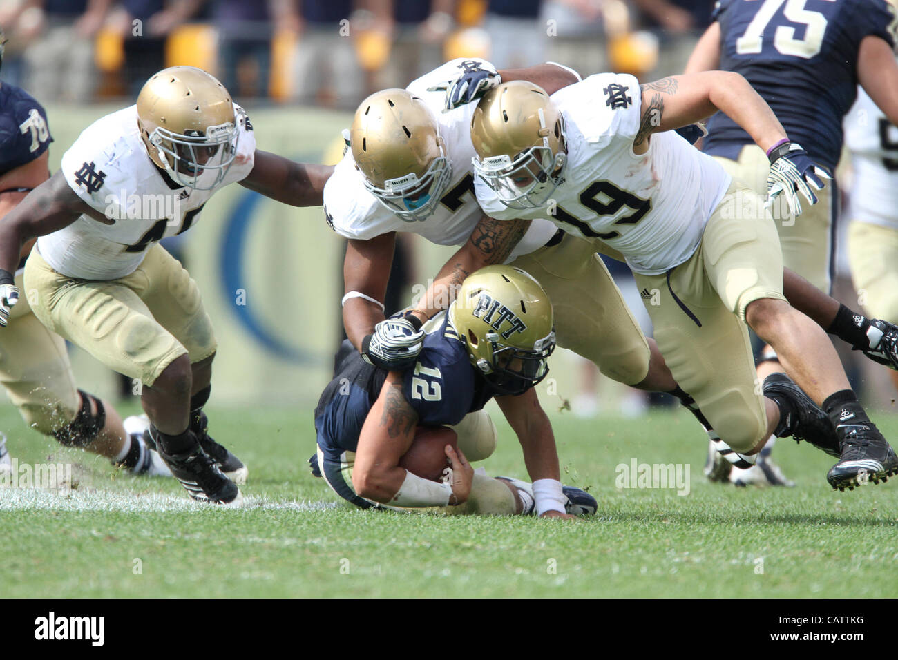 Sept. 24, 2011 - Pittsburgh, Pennsylvania, USA - The Notre Dame Fighting Irish were able to hold onto a slight lead to beat the University of Pittsburgh Panthers in Hienz Field.  Photo By Aaron Suozzi (Credit Image: © Aaron Souzzi/ZUMAPRESS.com) Stock Photo