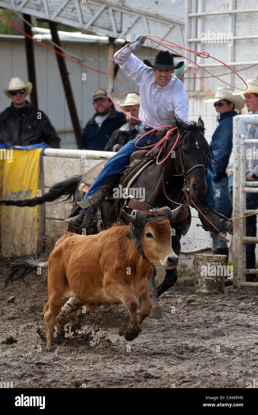 Team Roping Lance Reed Team roping event hi-res stock photography and images - Alamy