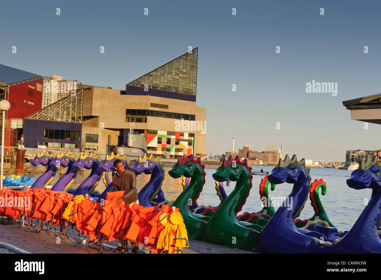 Chessie Dragons lined up in a row at their mooring in Baltimore Inner