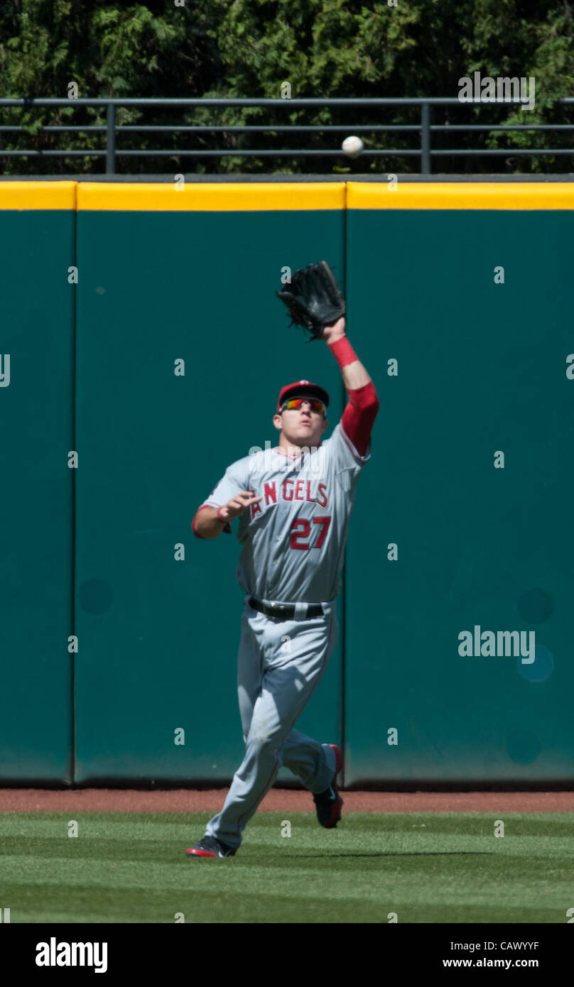 Mike Trout Outfield