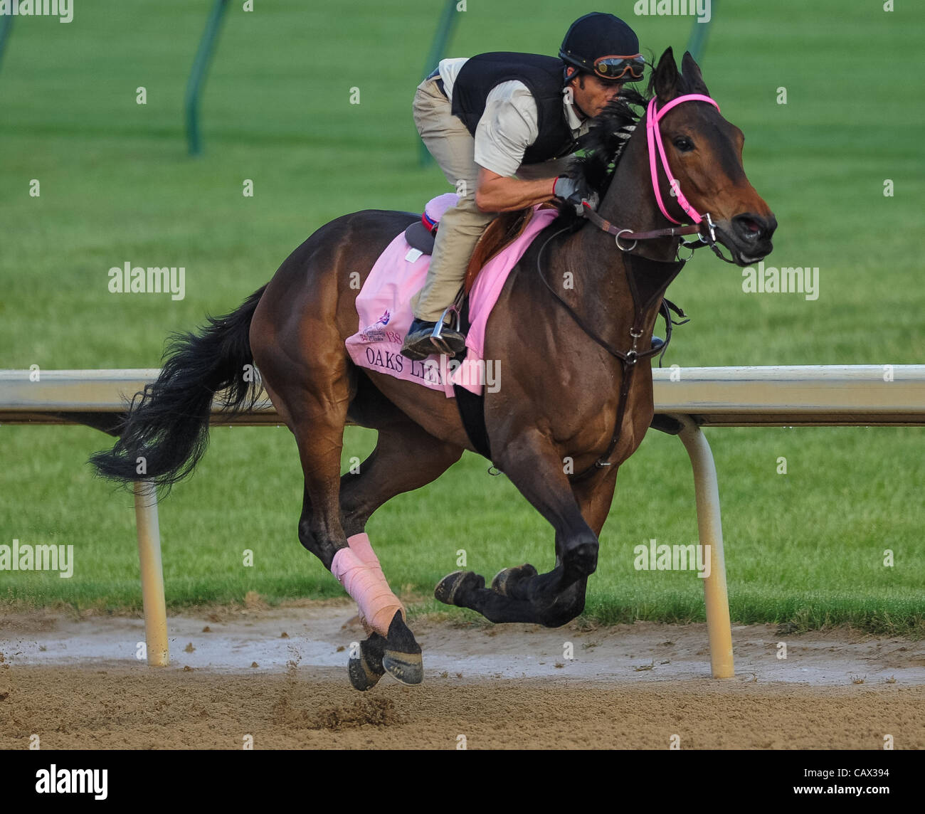 Kentucky oaks lily hires stock photography and images Alamy