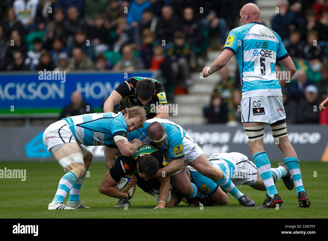 05.05.2012 Northampton, England. Rugby Union. Northampton Saints v