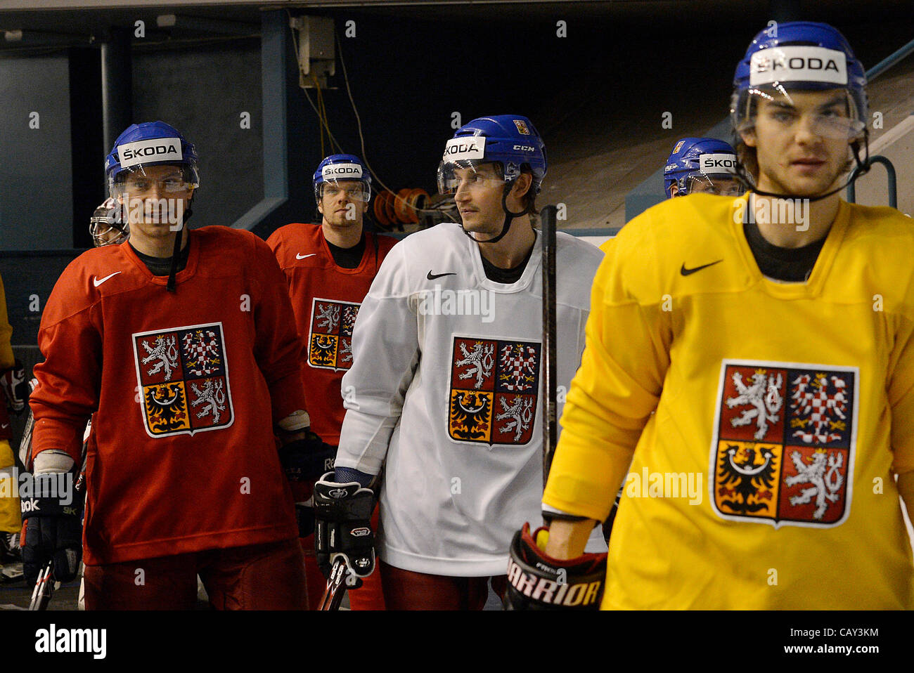 IIHF Ice Hockey World Championship 2012, Czech Republic, training