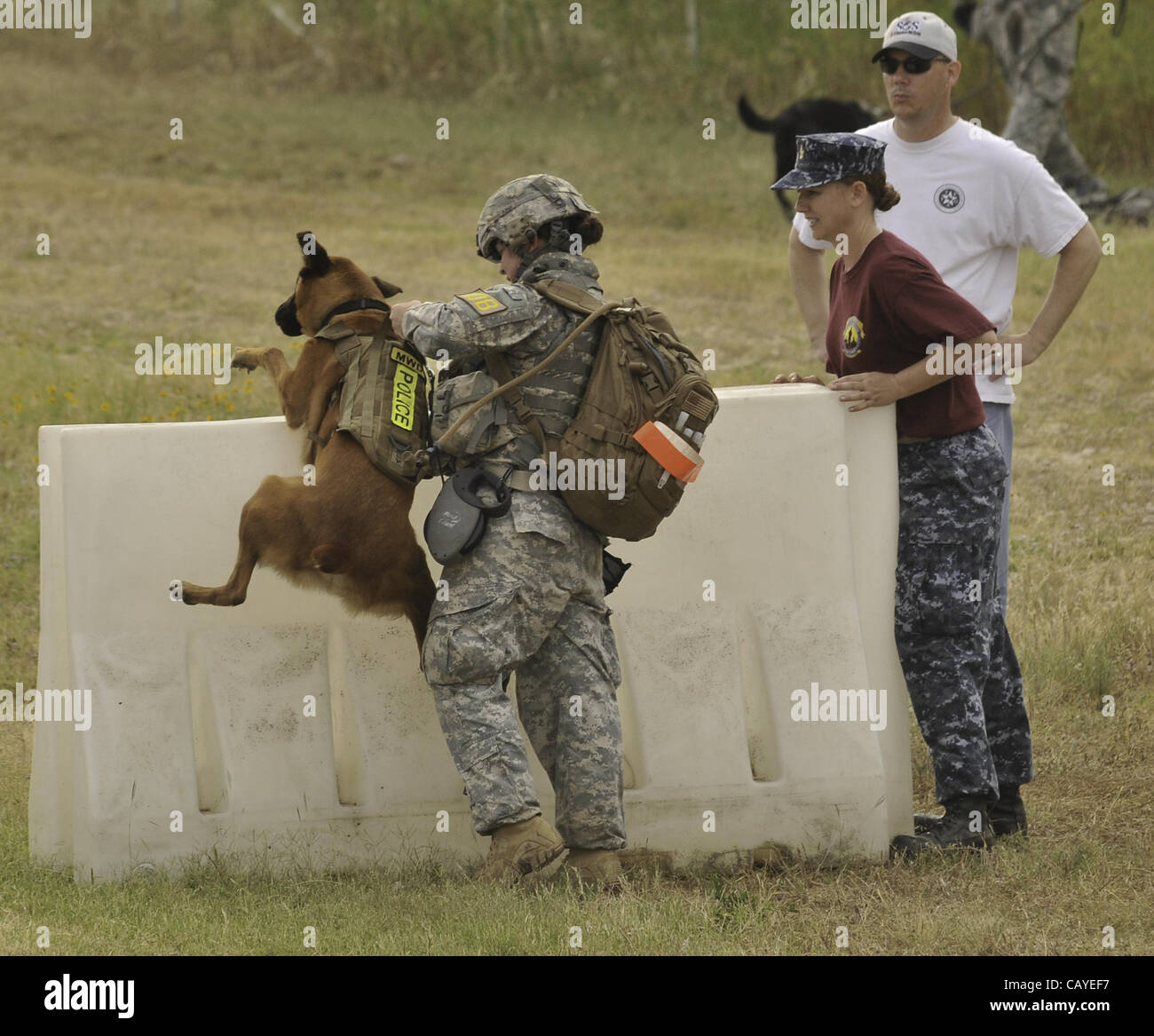 May 5, 2012 - DoD K9 Trials-May 4, 2012-Lackland Air Force Base-San Antonio, Texas--With the encouragement of other soldier, Sgt. Elizabeth Wenke lifts her dog over an obstacle during the 6 mile Iron Dog competition during the Department of Defense K9 Trials at Lackland Air Force Base in San Antonio Stock Photo