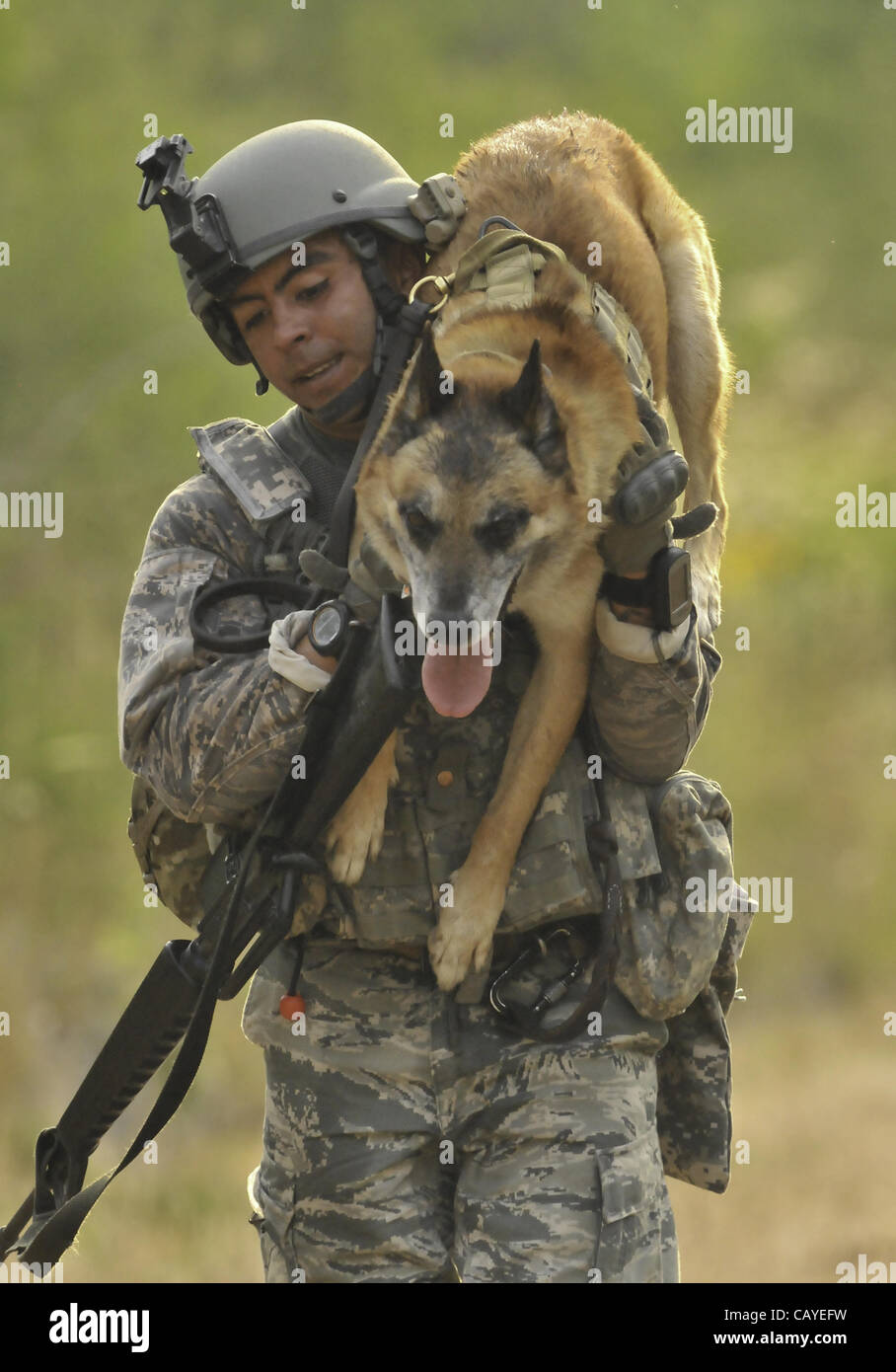 May 5, 2012 A K9 soldier carries his dog as part of the Iron Dog