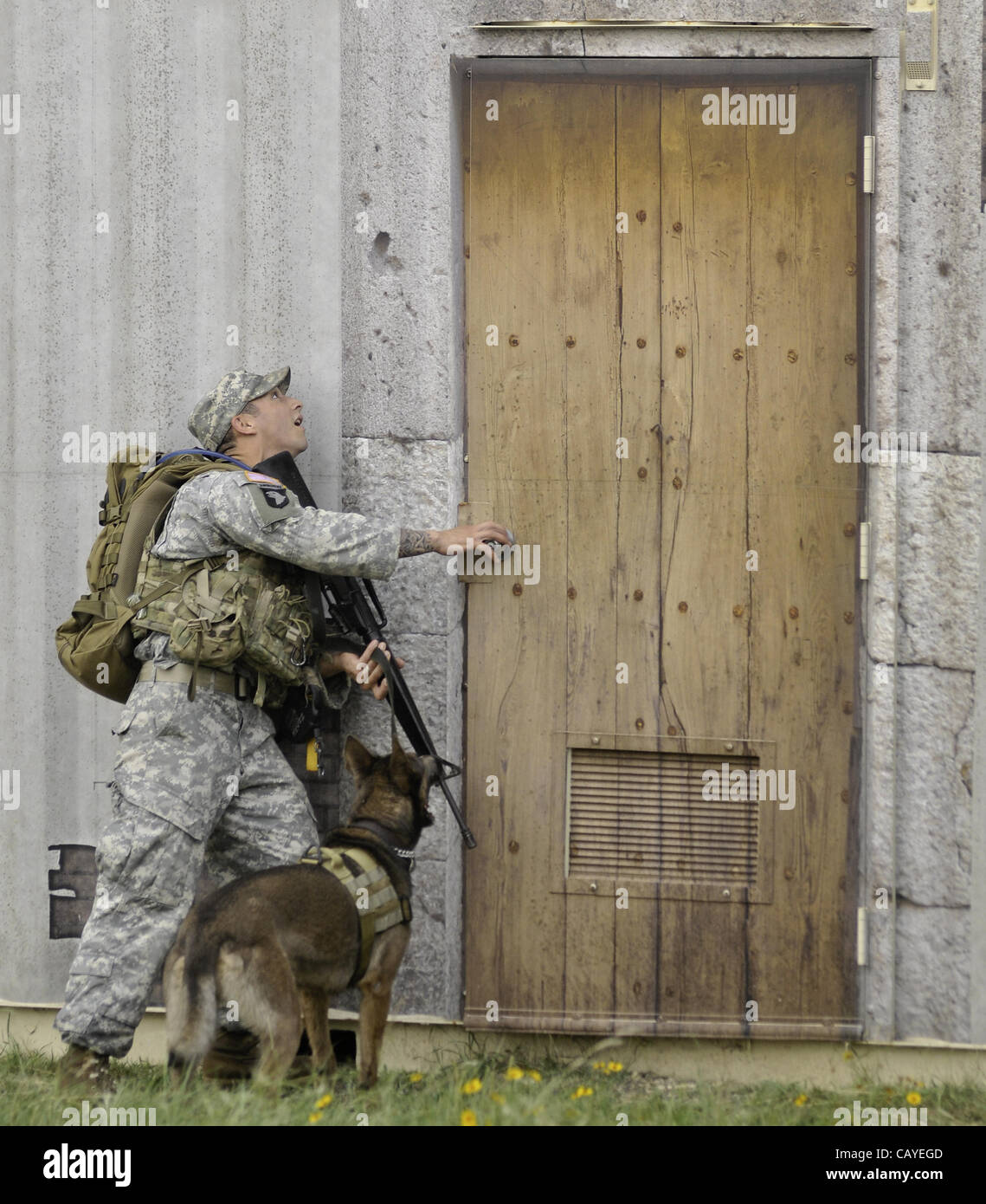 May 4, 2012 - DoD K9 Trials-May 4, 2012-Lackland Air Force Base-San Antonio, Texas-A soldier and his dog search a mock-building looking for explosives during the Department of Defense K9 Trials at Lackland Air Force Base in San Antonio, Texas. They'll test military working dog teams in a variety of  Stock Photo
