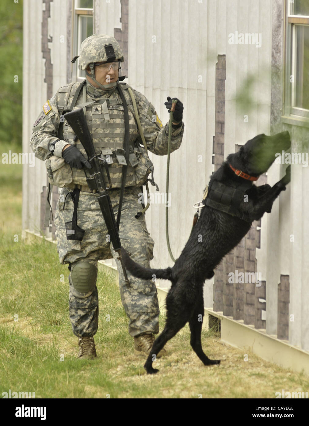 May 4, 2012 - DoD K9 Trials-May 4, 2012-Lackland Air Force Base-San Antonio, Texas---Sgt David Cartwright and his dog do a search mission in a mock villageduring the Department of Defense K9 Trials at Lackland Air Force Base in San Antonio, Texas.  They'll test military working dog teams in a variet Stock Photo