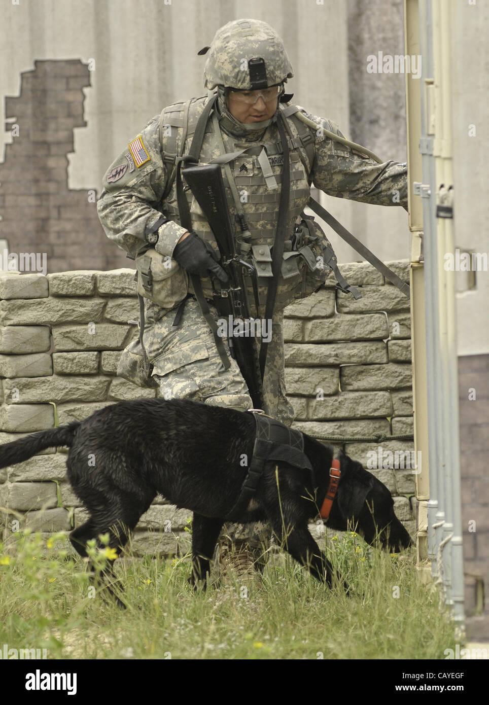 May 4, 2012 - Sgt David Cartwright and his dog during search exercise in a mock village as part of the Department of Defense K9 Trials at Lackland Air Force Base in San Antonio, Texas.  They'll test military working dog teams in a variety of missions, including detecting narcotics or explosives, pro Stock Photo