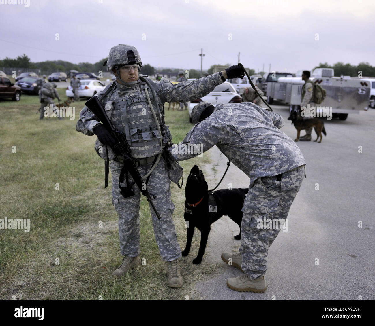 May 5, 2012 - DoD K9 Trials-May 4, 2012-Lackland Air Force Base-San Antonio, Texas---K9 Sgt David Cartwright has his gear adjusted before starting the grueling 6 mile Iron Dog Competition during the Department of Defense K9 Trials at Lackland Air Force Base in San Antonio, Texas.  They'll test milit Stock Photo
