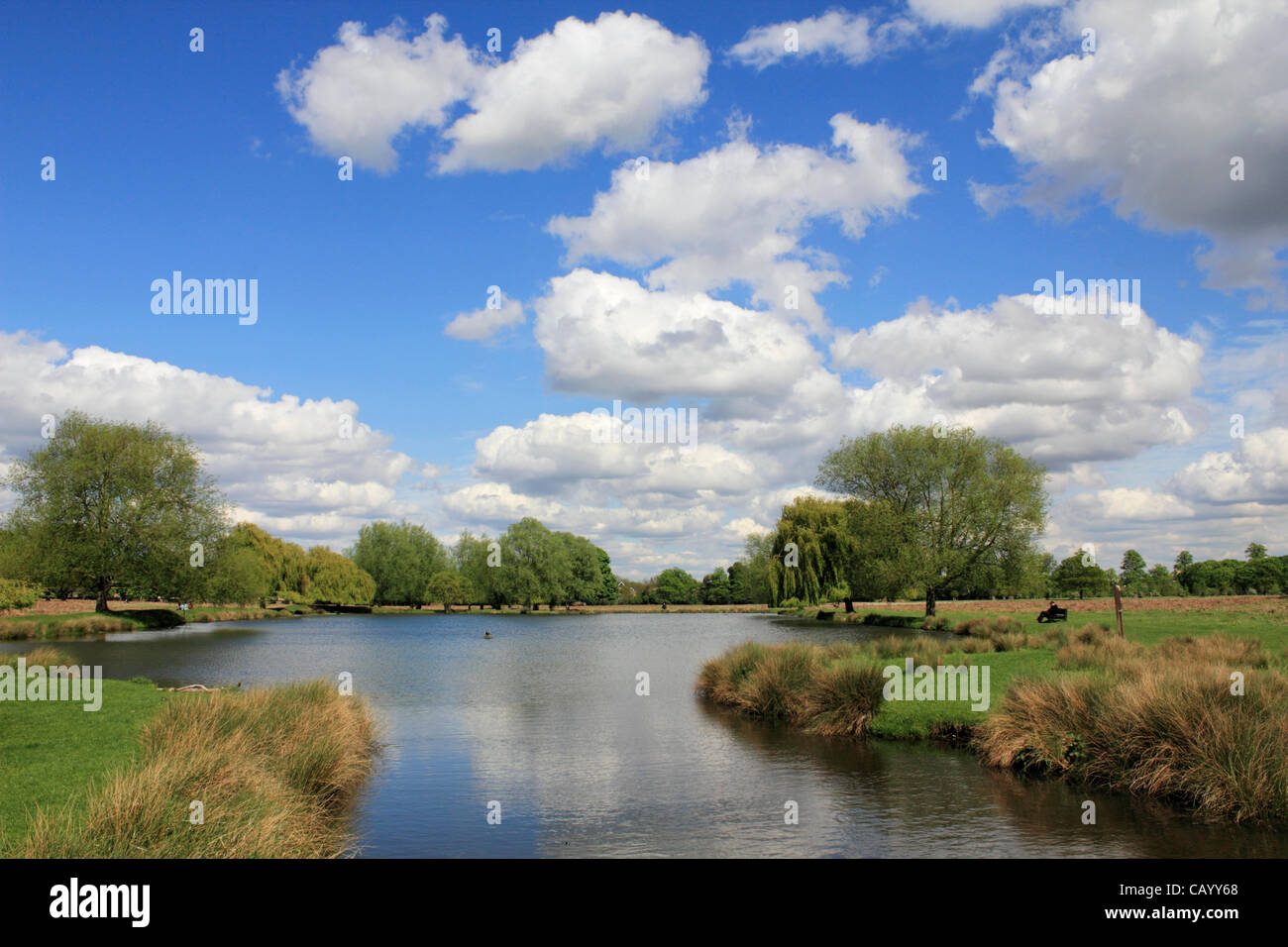 Leg of Mutton pond in Bushy Park, the Royal Park near to Hampton Court, Teddington, London, UK