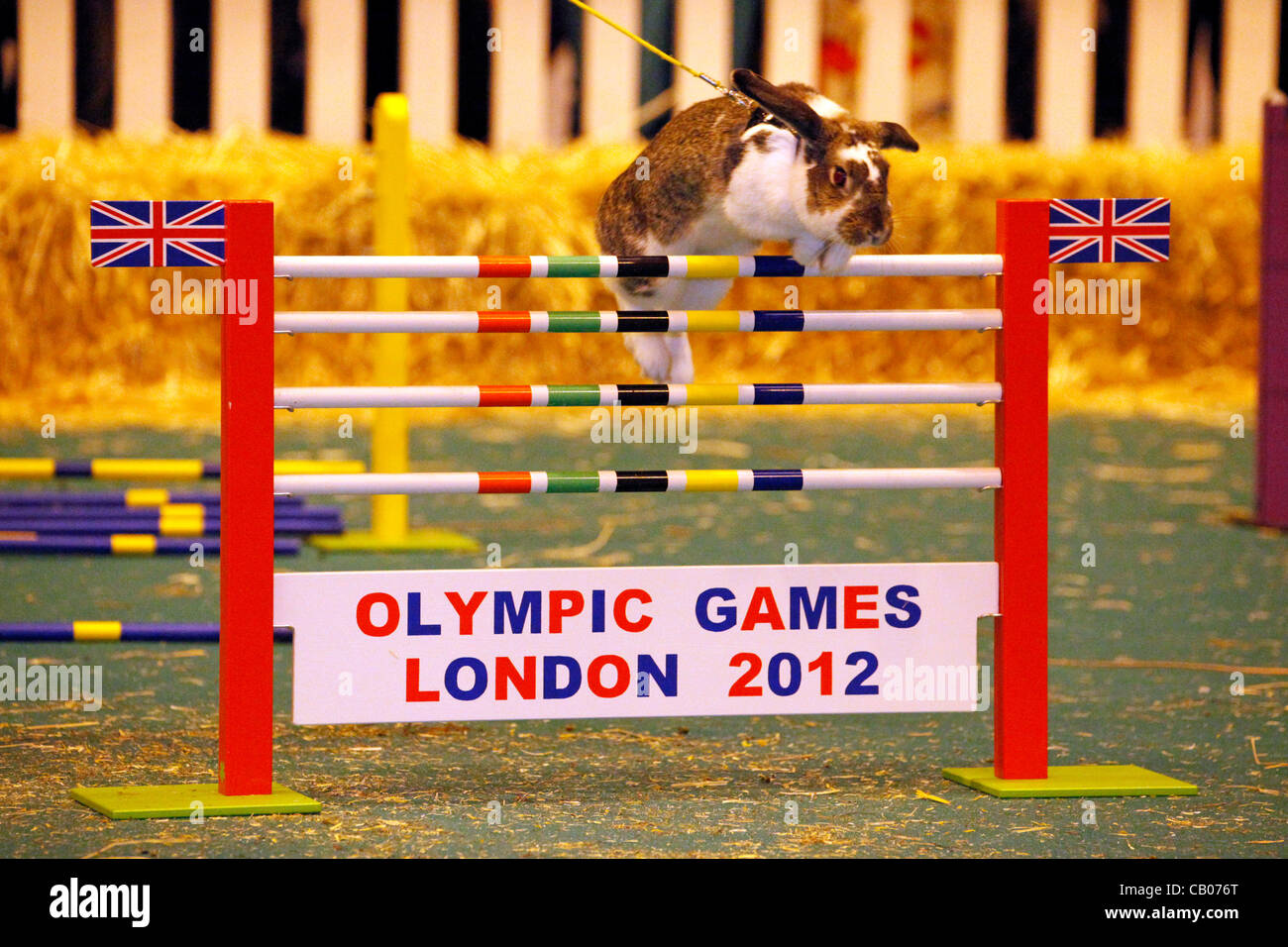 Rabbit london hi-res stock photography and images - Alamy