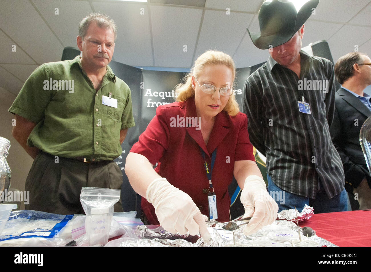 May 15, 2012 - Tucson, U.S - Meteorite hunters GREG HUPE and ROBERT WARD look on as DOLORES HILL places a sample of the ''Sutter's Hill'' meteorite that landed in California in April on a stand. The University of Arizona is the recipient of samples of a rare meteorite that crashed in Calif. in April Stock Photo