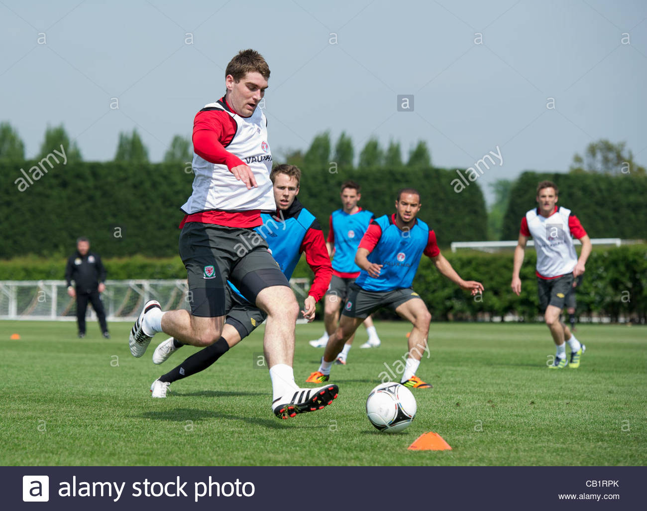 2019 year - May Vokes 2019 year