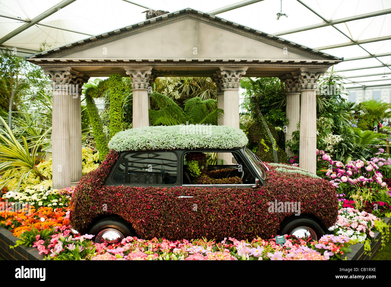 Mini fruit tree uk hires stock photography and images  Alamy