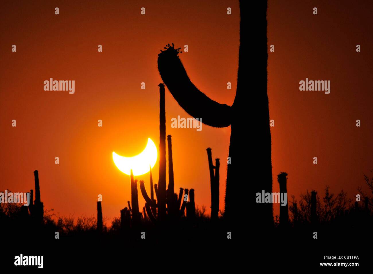 An annular solar eclipse in progress is seen from Ironwood Forest