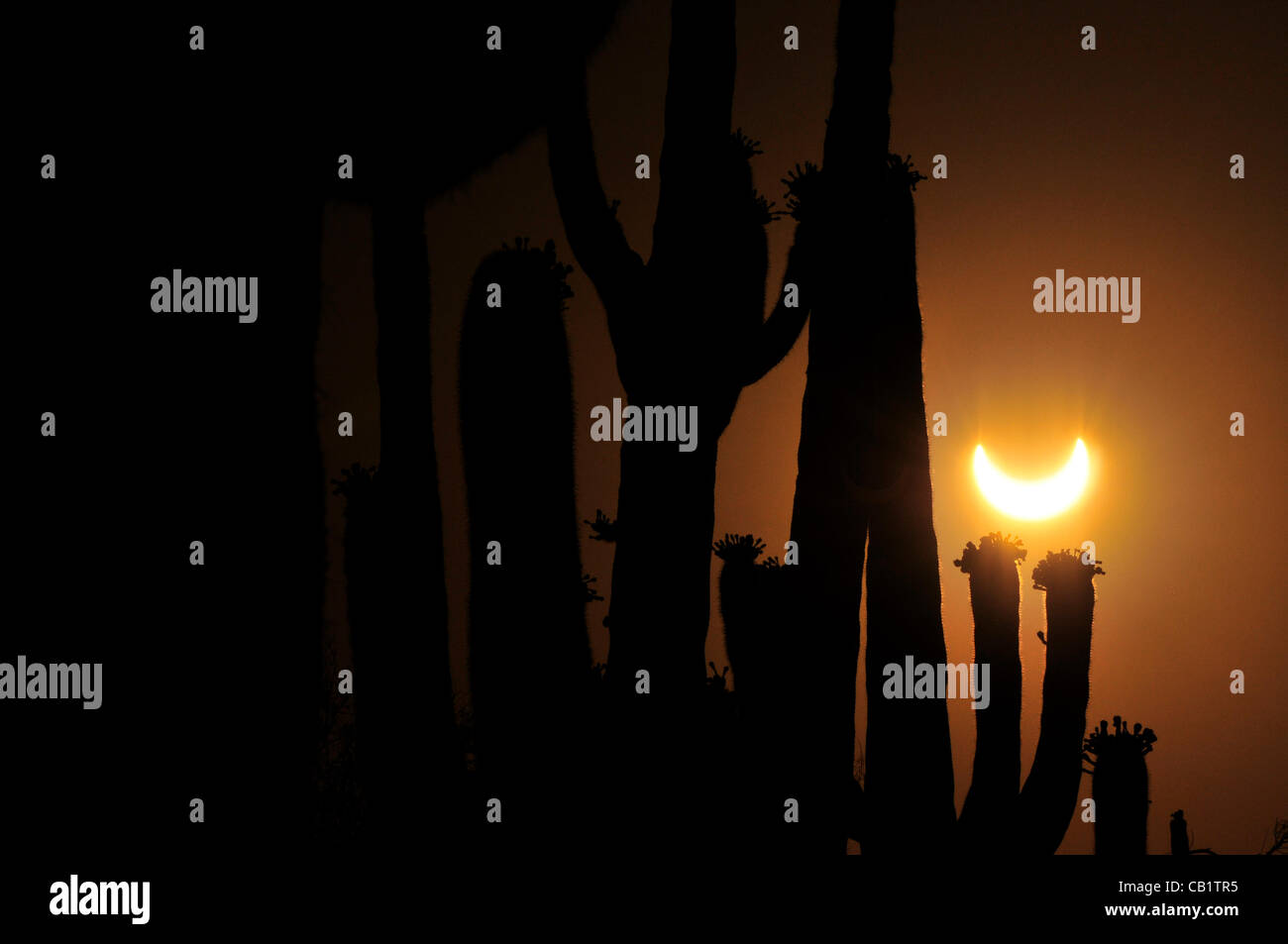 Eclipse Solar 2024 Sonoran Desert Netti Adriaens