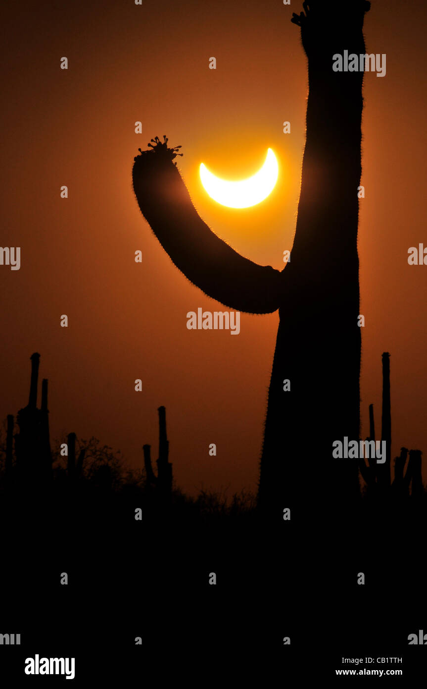 An annular solar eclipse in progress is seen from Ironwood Forest