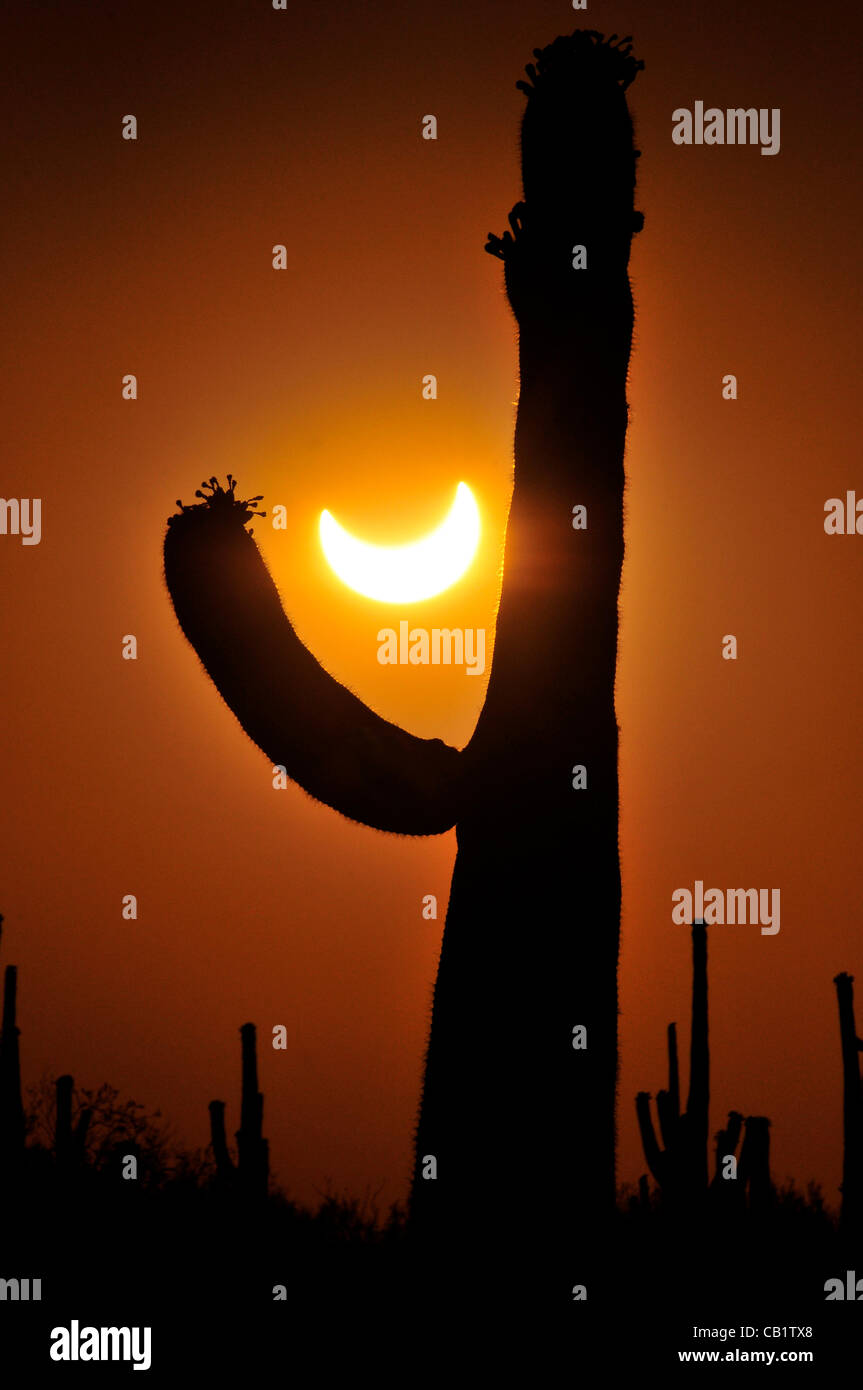 Tucson valley of the moon hires stock photography and images Alamy