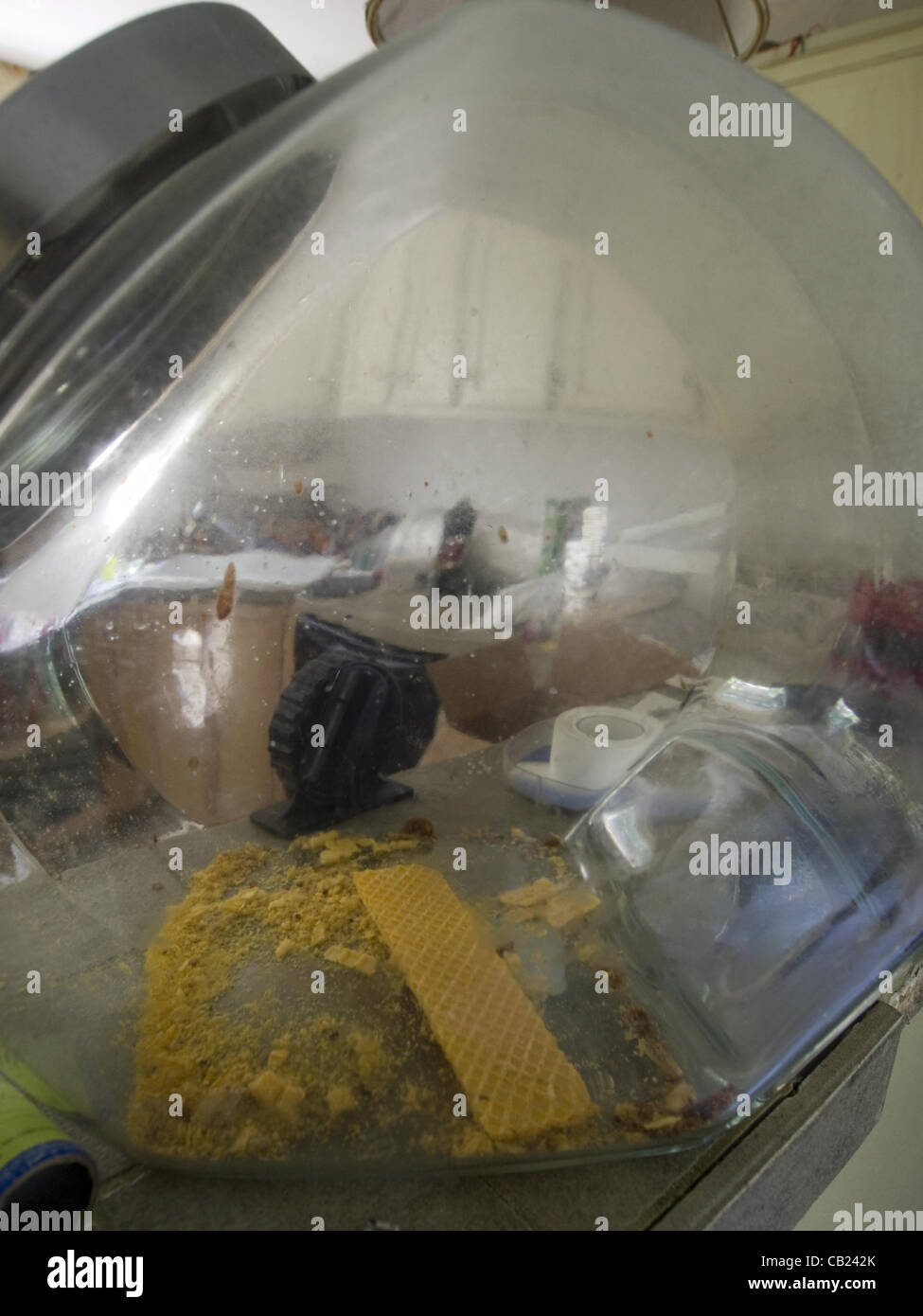 Aug. 1, 2011 - Warwick, Rhode Island, Uniited States - An empty cookie jar is left behind with cookie fragments and crumbs inside a foreclosed house in Warwick, Rhode Island (Credit Image: © David H. Wells/ZUMAPRESS.com) Stock Photo