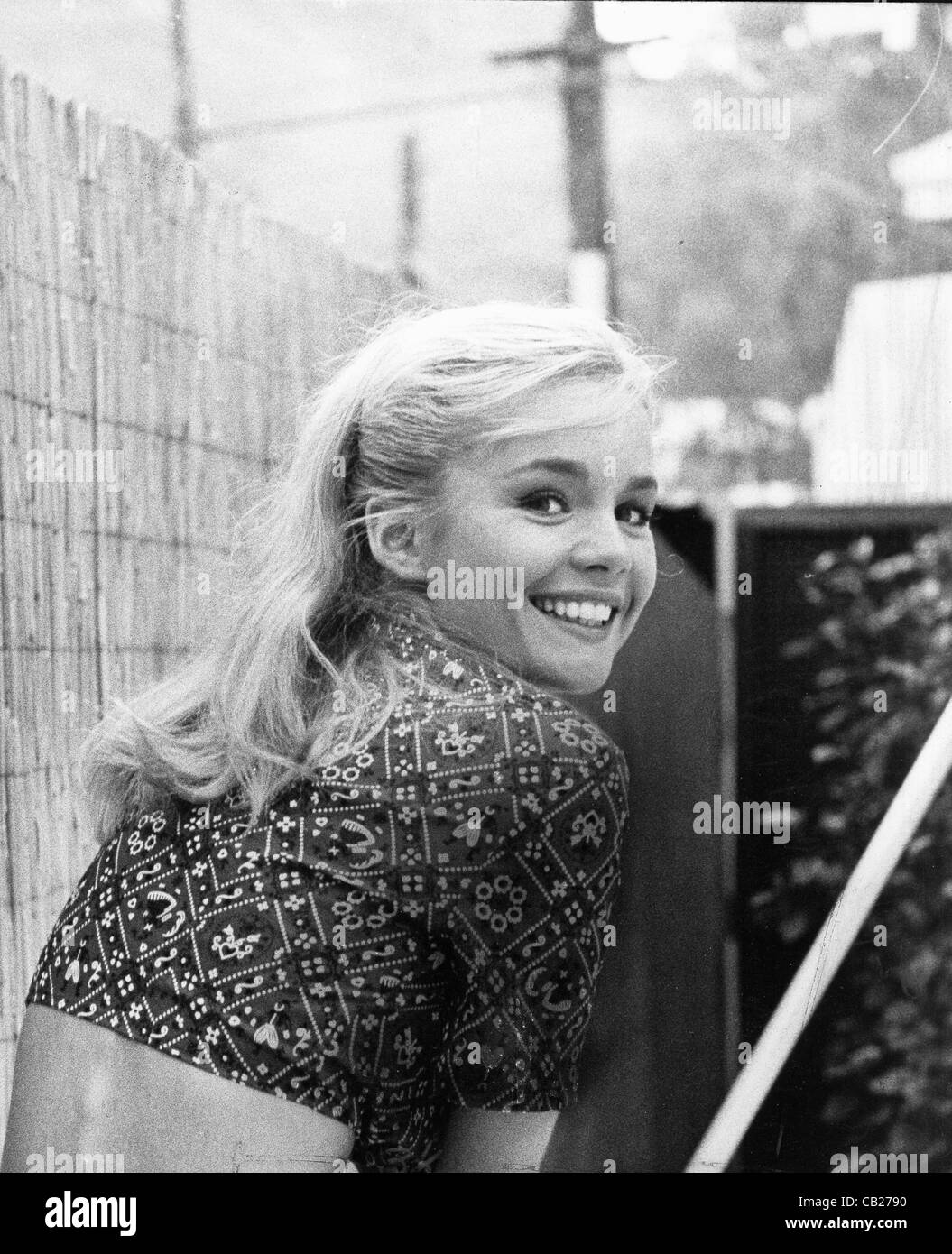 587 Tuesday Weld Photos Stock Photos, High-Res Pictures, and