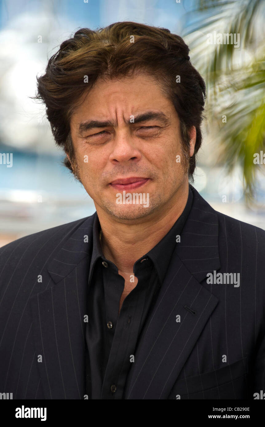 Benicio Del Toro (actor & director) at photocall for film '7 Days In