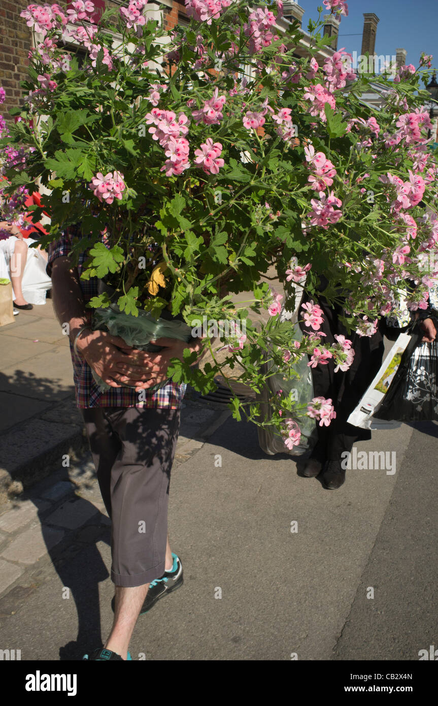 26 May, 2012. London, UK. Sale of display plants to the public on the last day of the Chelsea Flower Show. Stock Photo