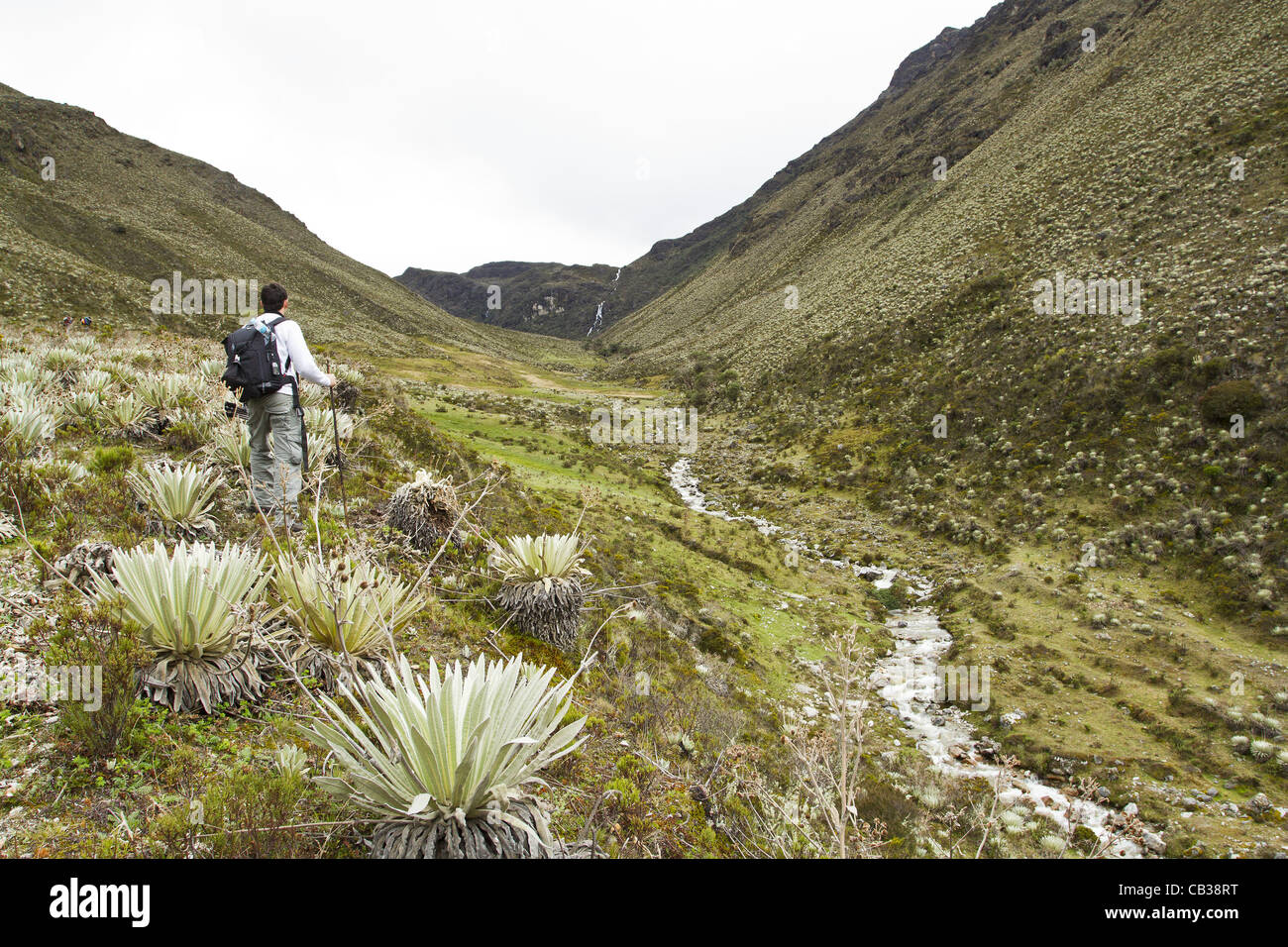 May 12, 2012 - Merida, Merida, Venezuela - Typical landscape of the paramos, an ecossystem found in high altitudes of northwestern South America. Sierra de la Culata National Park comprehend an area of 200.400 ha on the Andean Region of Venezuela and was created in 1989.  Merida, Merida State, Venez Stock Photo
