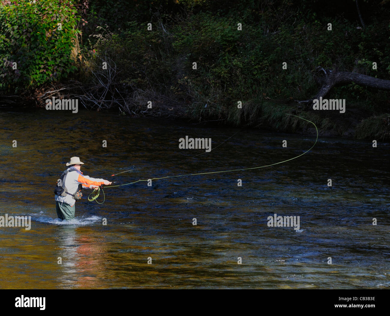 Salmon fishing canada hi-res stock photography and images - Alamy