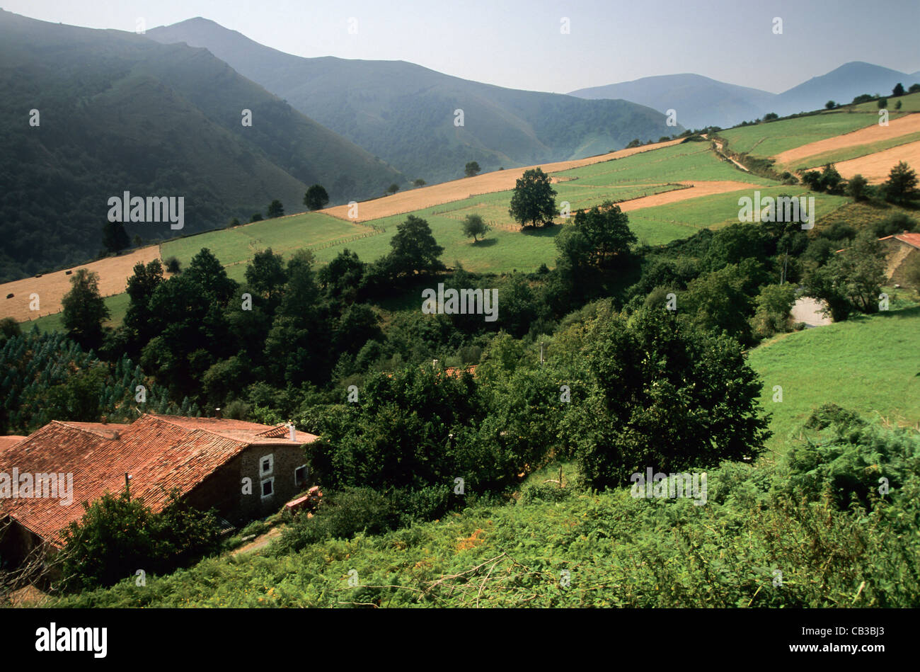 Tojo hires stock photography and images Alamy