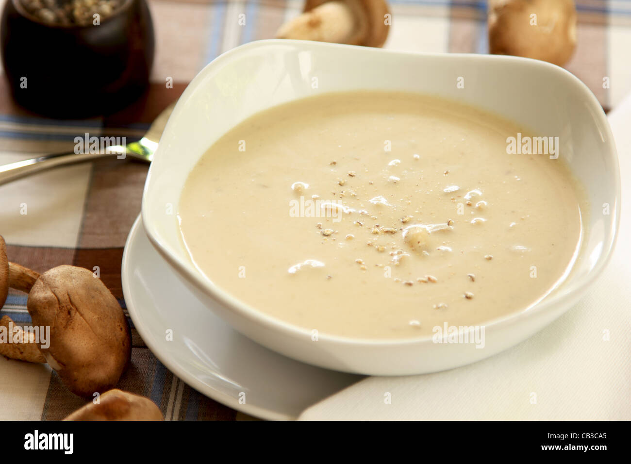 Mushroom soup Stock Photo