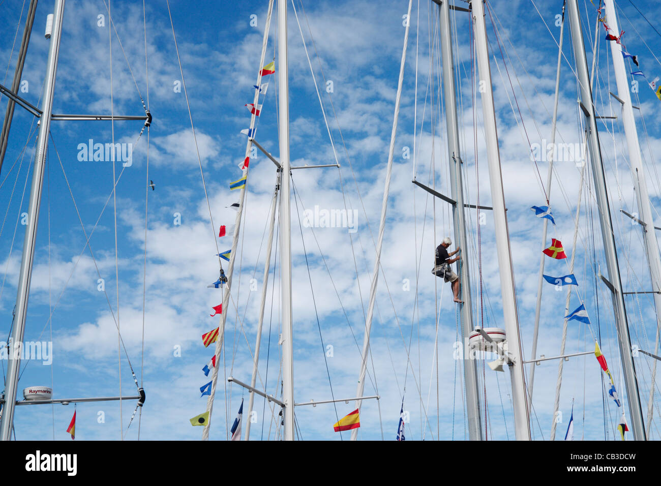 Sailor climbing yacht mast Stock Photo Alamy