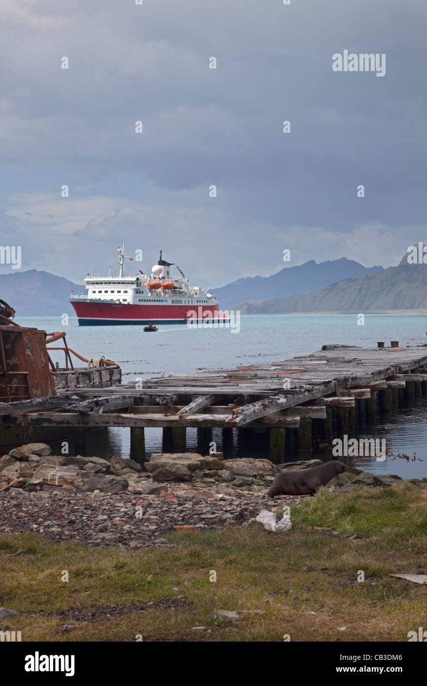 MS Expedition and remains of the Old Whaling Station, Grytviken Harbour, South Georgia Stock Photo