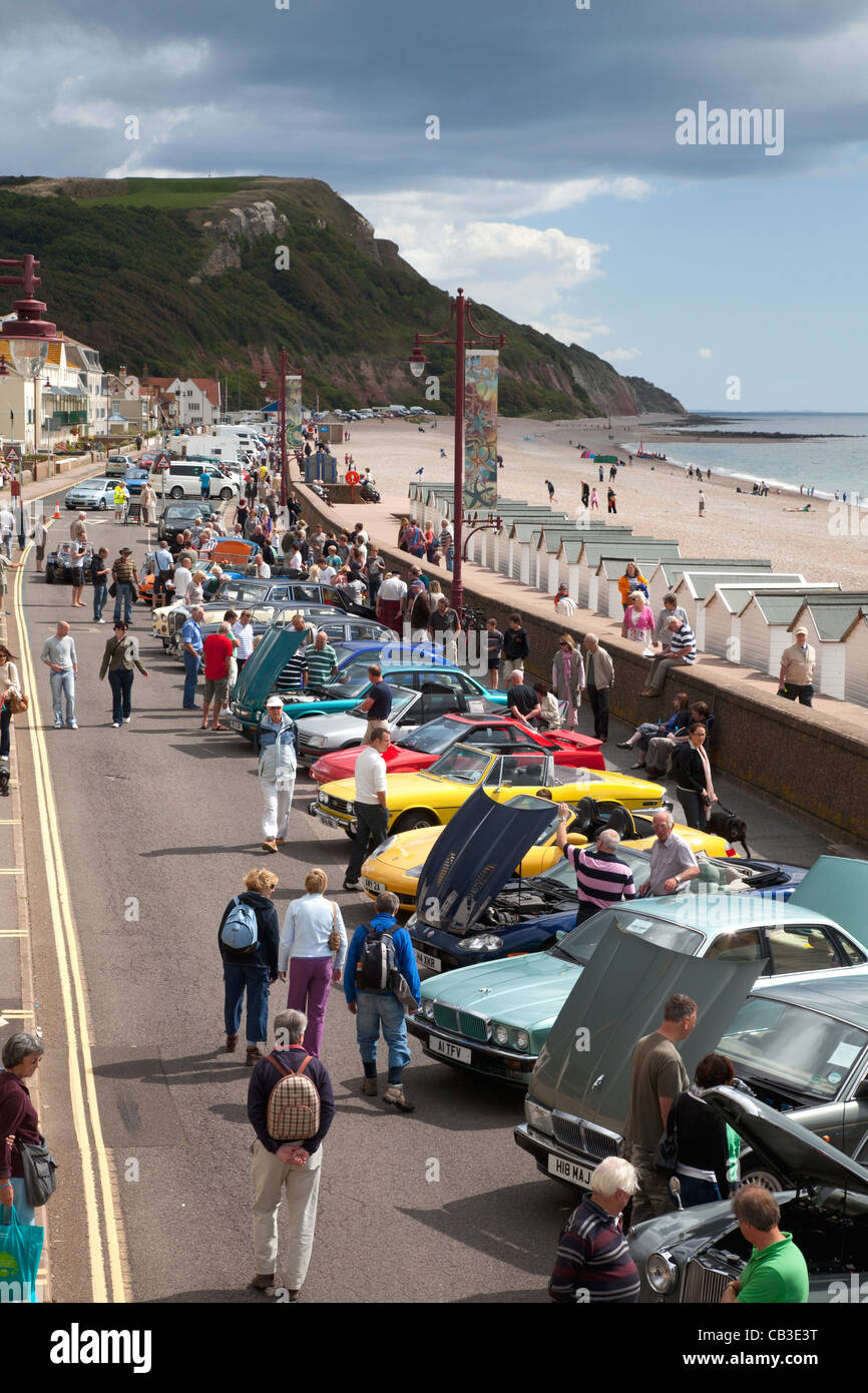 Classic car show on the sea front at Seaton, Devon Stock Photo Alamy